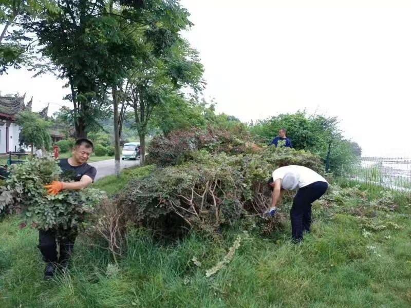 微信圖片_20210721180316.jpg 微信圖片_20210721180316.jpg